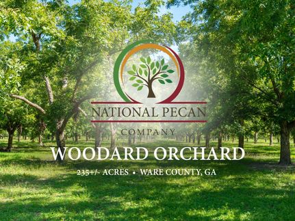 Lakefront Property for sale in Ware County, Georgia