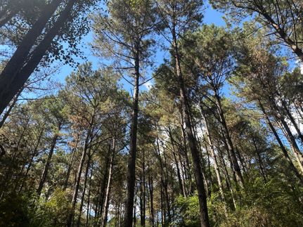 Timberland Property for sale in Scott County, Mississippi
