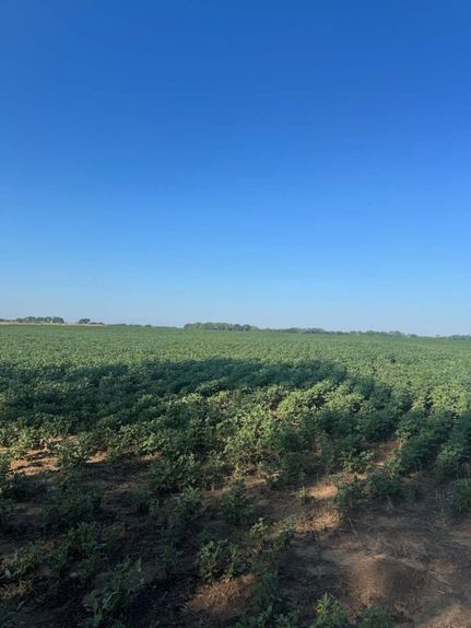 Land for sale in Ottawa County, Kansas