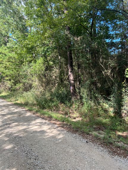 Land for sale in Shelby County, Texas