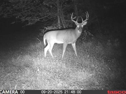 Recreational Property for sale in Athens County, Ohio