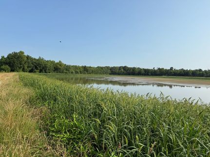 Hunting Property in Monroe County, Arkansas