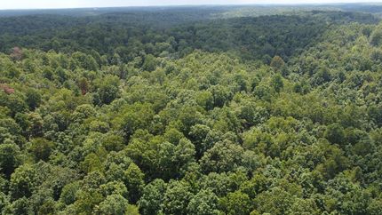 Undeveloped Land for sale in Marion County, Arkansas