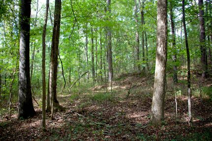 Recreational Property for sale in Hardeman County, Tennessee