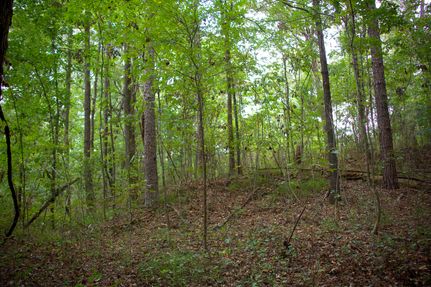 Land for sale in Hardeman County, Tennessee