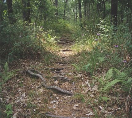 Land for sale in Creek County, Oklahoma