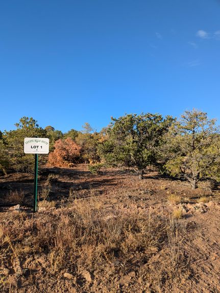 Undeveloped Land for sale in Duchesne County, Utah