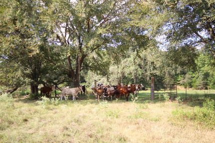 Land for sale in Anderson County, Texas