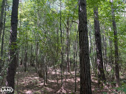 Commercial Property in Lamar County, Alabama