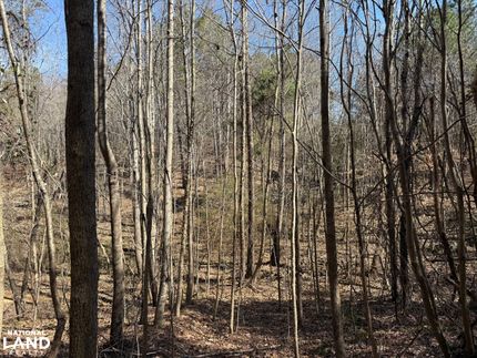 Recreational Property in Marion County, Alabama