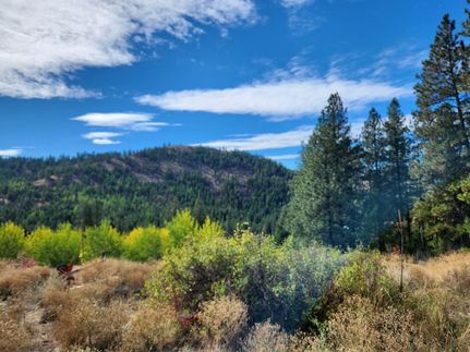 Undeveloped Land for sale in Ferry County, Washington