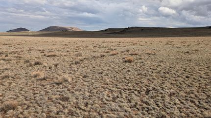 Undeveloped Land in Apache County, Arizona