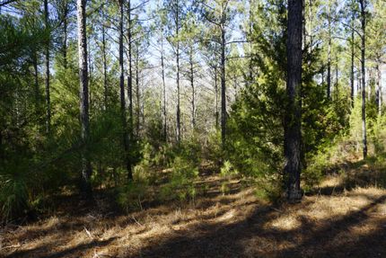 Timberland Property for sale in Chester County, South Carolina