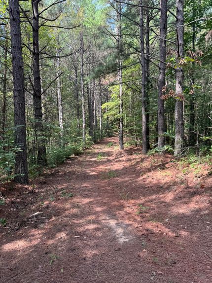 Undeveloped Land for sale in Morgan County, Tennessee