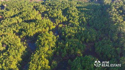 Farm and Ranch for sale in Sabine County, Texas