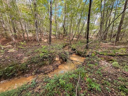Timberland Property for sale in Cumberland County, Tennessee