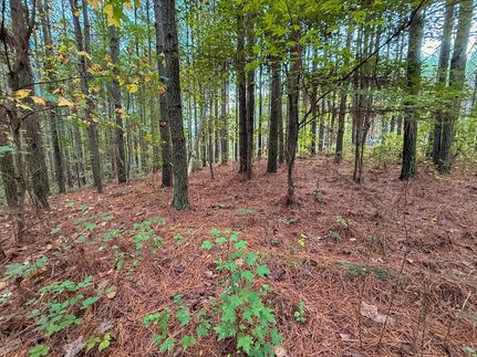 Recreational Property for sale in Cumberland County, Tennessee