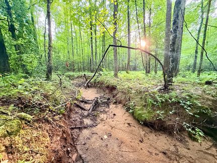 Land for sale in Cumberland County, Tennessee