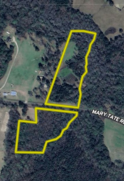 Timberland Property in Jones County, North Carolina