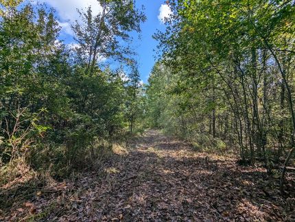 Undeveloped Land for sale in Trumbull County, Ohio