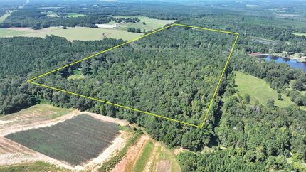 Timberland Property for sale in Pike County, Alabama