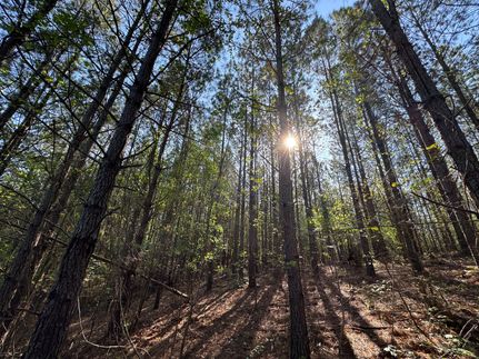 Undeveloped Land for sale in Tallapoosa County, Alabama