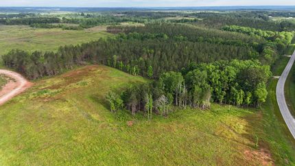 Undeveloped Land for sale in Chambers County, Alabama