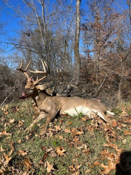 Land for sale in Warren County, Mississippi