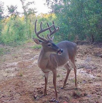 Recreational Property for sale in Warren County, Mississippi
