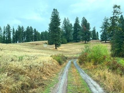 Farm and Ranch for sale in Clearwater County, Idaho