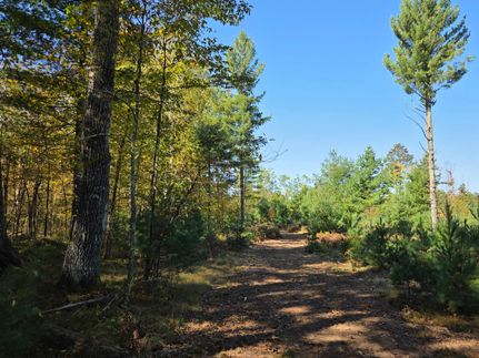 Recreational Property for sale in Bayfield County, Wisconsin