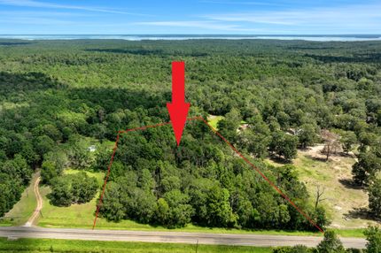 Undeveloped Land for sale in San Jacinto County, Texas