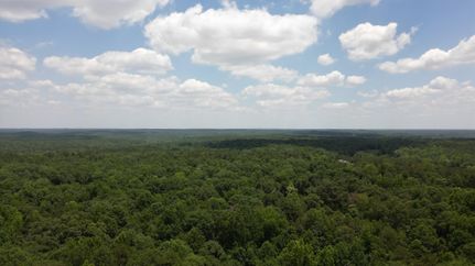 Undeveloped Land in Jackson County, Georgia