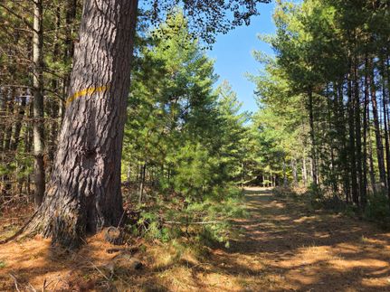 Farm and Ranch for sale in Bayfield County, Wisconsin