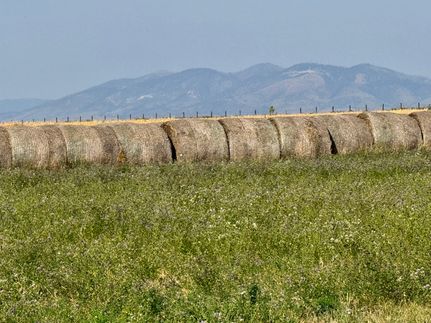 Farm and Ranch for sale in Fergus County, Montana