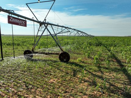 Horse Property for sale in Haskell County, Texas