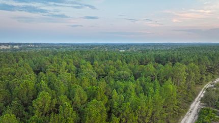 Undeveloped Land for sale in Polk County, Texas