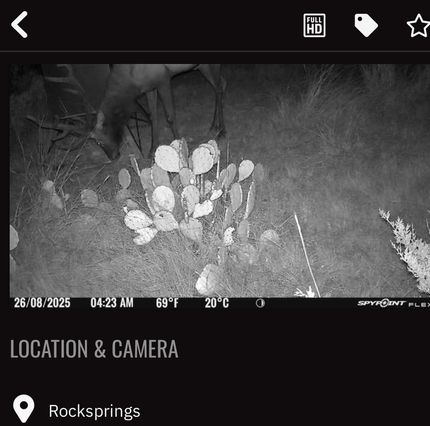 Hunting Property in Edwards County, Texas