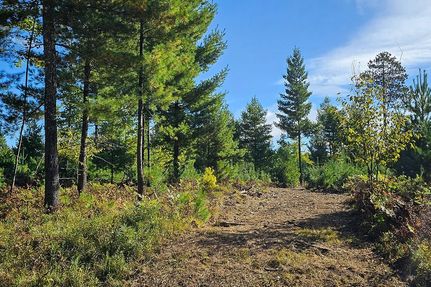 Undeveloped Land for sale in Bayfield County, Wisconsin