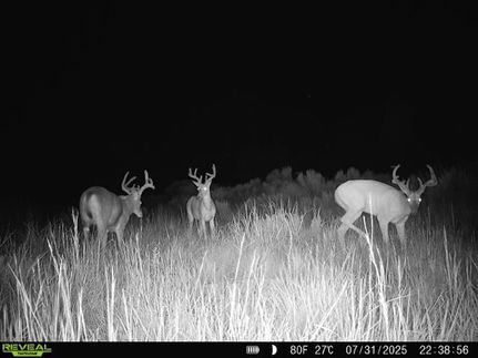 Recreational Property in Comanche County, Kansas