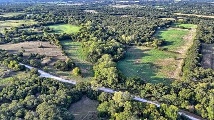 Timberland Property for sale in Montague County, Texas