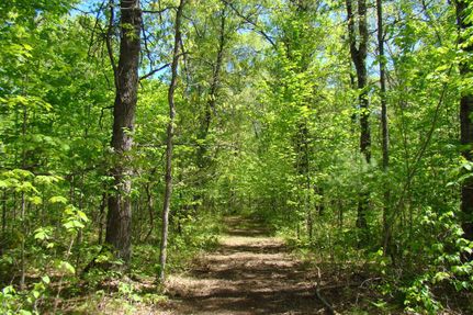 Hunting Property for sale in Oneida County, Wisconsin