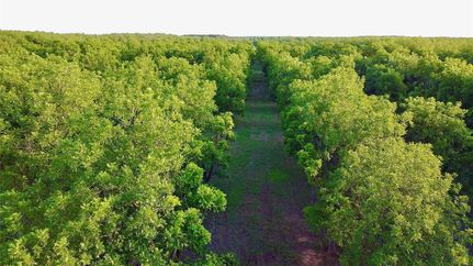 Undeveloped Land for sale in Comanche County, Texas