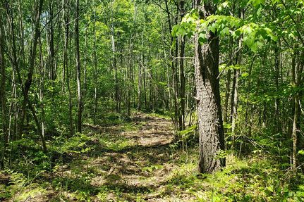 Undeveloped Land for sale in Oneida County, Wisconsin