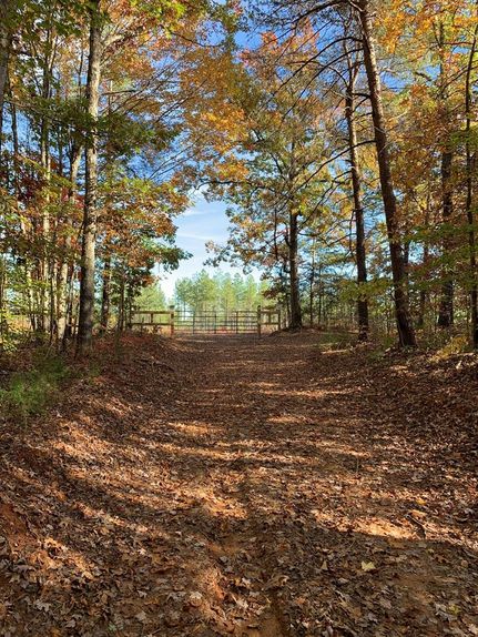 Undeveloped Land for sale in Appomattox County, Virginia