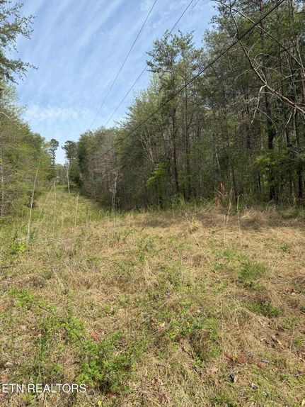 Land for sale in Monroe County, Tennessee