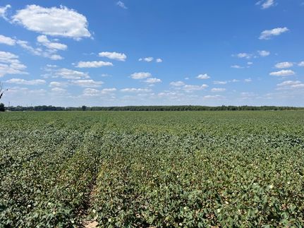 Land for sale in Quitman County, Mississippi