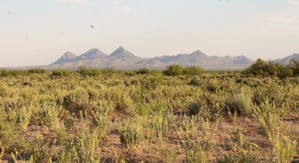 Undeveloped Land for sale in Luna County, New Mexico