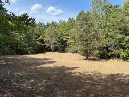 Land for sale in Twiggs County, Georgia