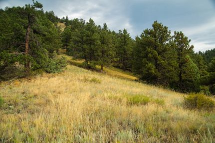 Undeveloped Land for sale in Boulder County, Colorado